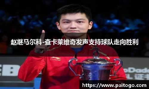 赵继马尔科-查卡莱维奇发声支持球队走向胜利