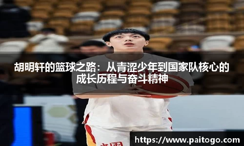 九游会·(j9)官方网站