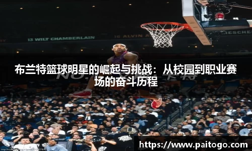 布兰特篮球明星的崛起与挑战：从校园到职业赛场的奋斗历程