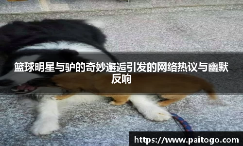 hth官网